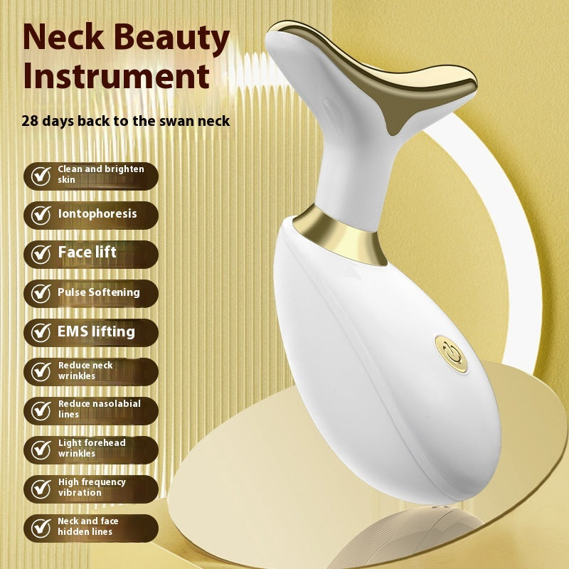 Appareil Lifting Facial Électrique & Massage